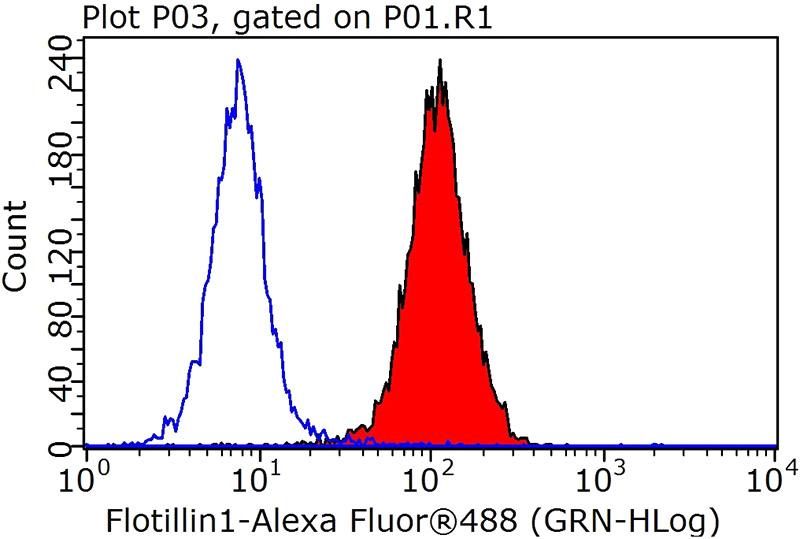 1X10^6 HeLa cells were stained with 0.05ug Flotillin 1 antibody (Catalog No:110722, red) and control antibody (blue). Fixed with 90% MeOH blocked with 3% BSA (30 min). Alexa Fluor 488 -Goat anti-Rabbit IgG with dilution 1:100.