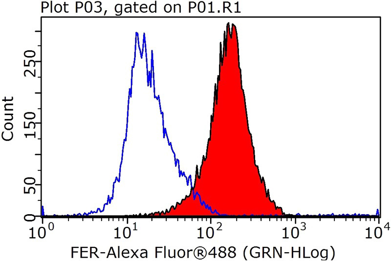 1X10^6 Jurkat cells were stained with 0.5ug FER antibody (Catalog No:110619, red) and control antibody (blue). Fixed with 90% MeOH blocked with 3% BSA (30 min). Alexa Fluor 488-congugated AffiniPure Goat Anti-Rabbit IgG(H+L) with dilution 1:1000.
