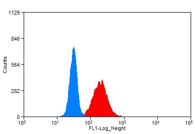 1X10^6 HeLa cells were stained with 0.2ug FGFBP3 antibody (Catalog No:110639, red) and control antibody (blue). Fixed with 90% MeOH blocked with 3% BSA (30 min). Alexa Fluor 488-congugated AffiniPure Goat Anti-Rabbit IgG(H+L) with dilution 1:1500.