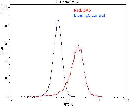 1X10^6 HeLa cells were stained with .2ug LIFR antibody (Catalog No:112221, red) and control antibody (blue). Fixed with 4% PFA blocked with 3% BSA (30 min). Alexa Fluor 488-congugated AffiniPure Goat Anti-Rabbit IgG(H+L) with dilution 1:1500.