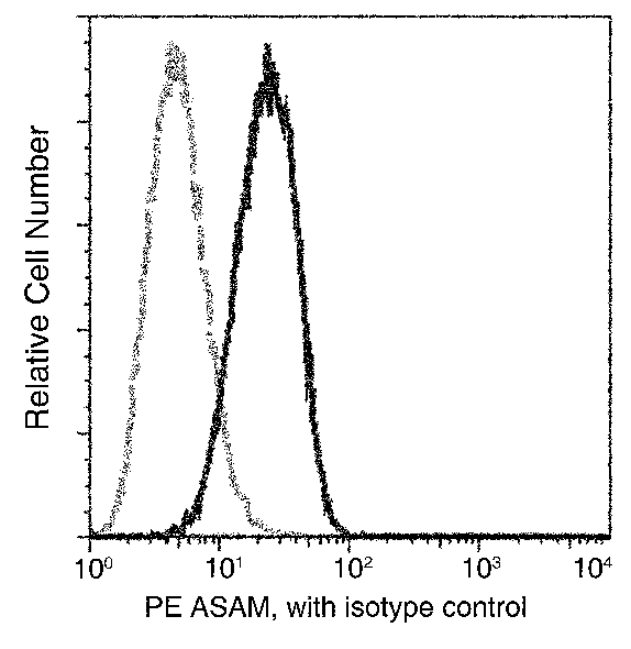 ASAM / CLMP Antibody, Mouse MAb, Flow Cytometry