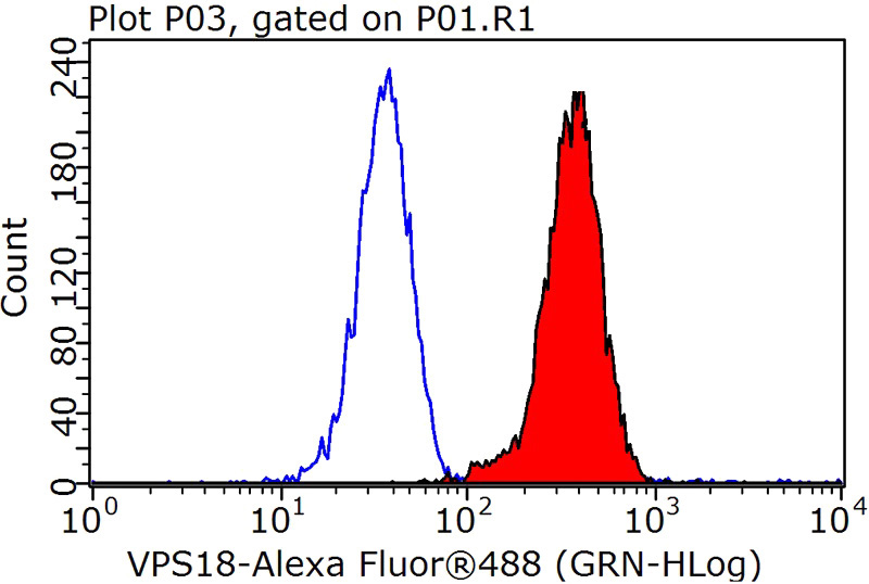 1X10^6 K-562 cells were stained with 0.2ug VPS18 antibody (Catalog No:116774, red) and control antibody (blue). Fixed with 90% MeOH blocked with 3% BSA (30 min). Alexa Fluor 488-congugated AffiniPure Goat Anti-Rabbit IgG(H+L) with dilution 1:1000.