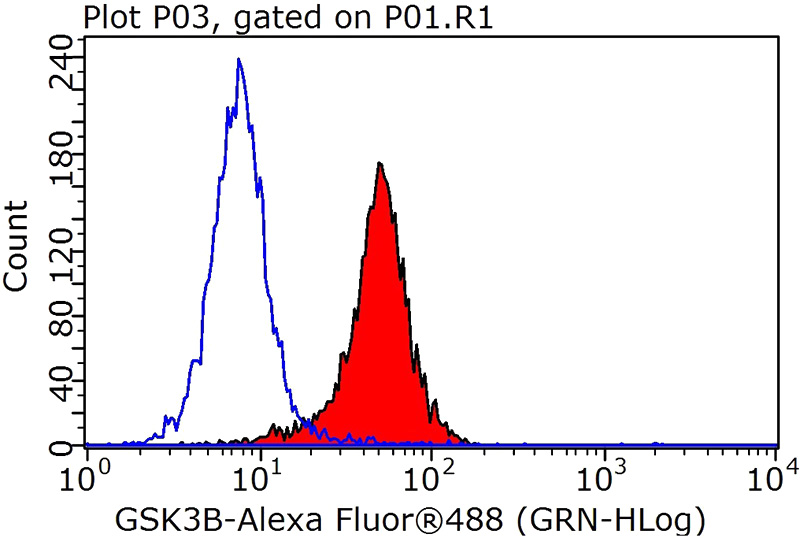 1X10^6 HeLa cells were stained with .05ug GSK3B antibody (Catalog No:111170, red) and control antibody (blue). Fixed with 90% MeOH blocked with 3% BSA (30 min). FITC-Goat anti-Rabbit IgG with dilution 1:100.