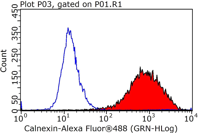 1X10^6 HeLa cells were stained with 0.2ug Calnexin antibody (Catalog No:108832, red) and control antibody (blue). Fixed with 90% MeOH blocked with 3% BSA (30 min). Alexa Fluor 488-congugated AffiniPure Goat Anti-Rabbit IgG(H+L) with dilution 1:1000.