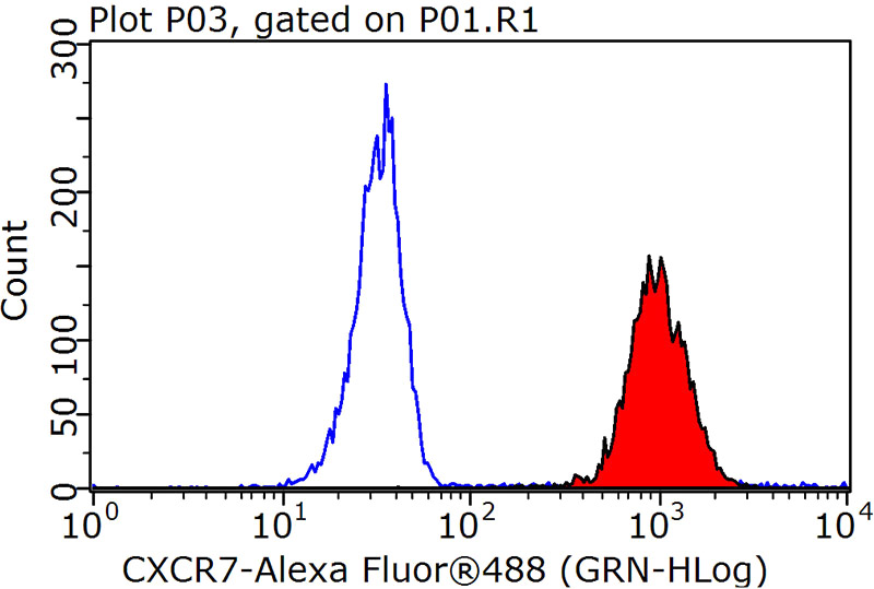 1X10^6 Raji cells were stained with 0.2ug CXCR7 antibody (Catalog No:109646, red) and control antibody (blue). Fixed with 90% MeOH blocked with 3% BSA (30 min). Alexa Fluor 488-congugated AffiniPure Goat Anti-Rabbit IgG(H+L) with dilution 1:1000.