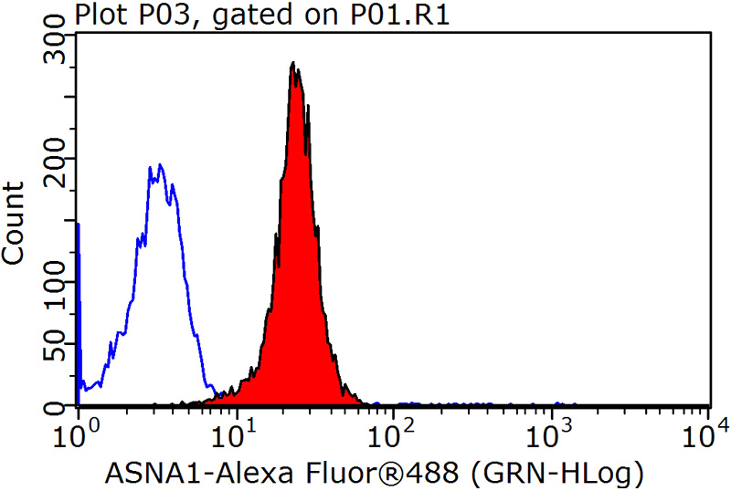 1X10^6 HepG2 cells were stained with 0.2ug ASNA1 antibody (Catalog No:108233, red) and control antibody (blue). Fixed with 90% MeOH blocked with 3% BSA (30 min). Alexa Fluor 488-congugated AffiniPure Goat Anti-Rabbit IgG(H+L) with dilution 1:1500.