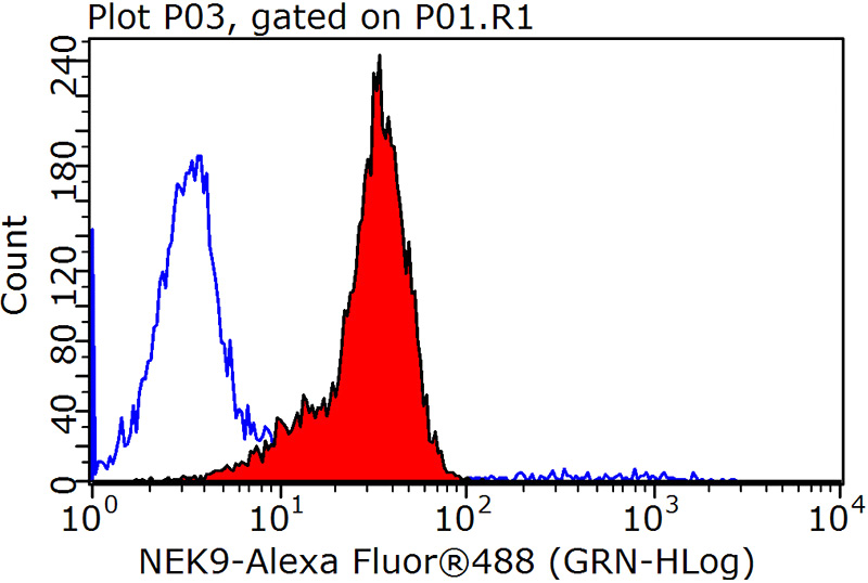 1X10^6 HepG2 cells were stained with .2ug NEK9 antibody (Catalog No:113106, red) and control antibody (blue). Fixed with 90% MeOH blocked with 3% BSA (30 min). Alexa Fluor 488-congugated AffiniPure Goat Anti-Rabbit IgG(H+L) with dilution 1:1000.