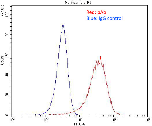 1X10^6 HeLa cells were stained with 0.2ug M6PRBP1 antibody (Catalog No:116063, red) and control antibody (blue). Fixed with 4% PFA blocked with 3% BSA (30 min). Alexa Fluor 488-congugated AffiniPure Goat Anti-Rabbit IgG(H+L) with dilution 1:1500.