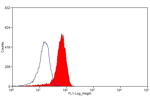 1X10^6 HEK-293 cells were stained with 0.2ug SLIT2-Specific antibody (Catalog No:115357, red) and control antibody (blue). Fixed with 4% PFA blocked with 3% BSA (30 min). Alexa Fluor 488-congugated AffiniPure Goat Anti-Rabbit IgG(H+L) with dilution 1:1500.