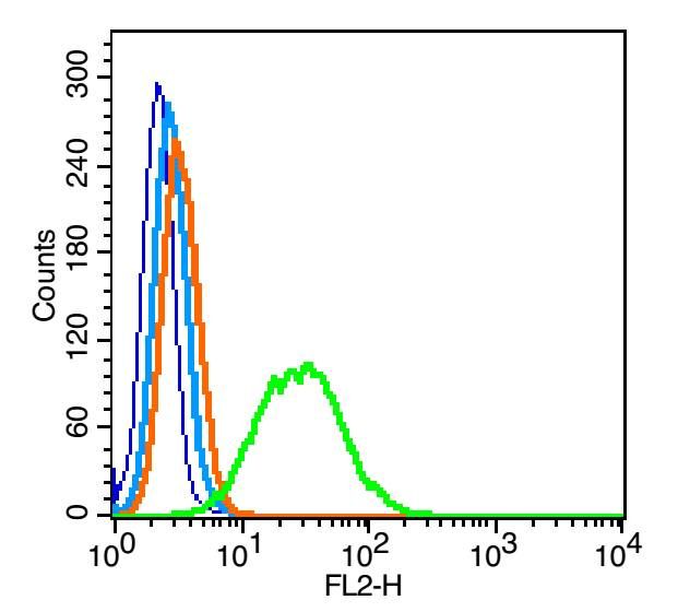 Fig2: Blank control: RSC96(blue), the cells were fixed with 2% paraformaldehyde (10 min) and then permeabilized with ice-cold 90% methanol for 30 min on ice.; Isotype Control Antibody: Rabbit IgG(orange) ; Secondary Antibody: Goat anti-rabbit IgG-PE(white blue), Dilution: 1:200 in 1 X PBS containing 0.5% BSA ; Primary Antibody Dilution: 0.2μg in 100 μL1X PBS containing 0.5% BSA(green).