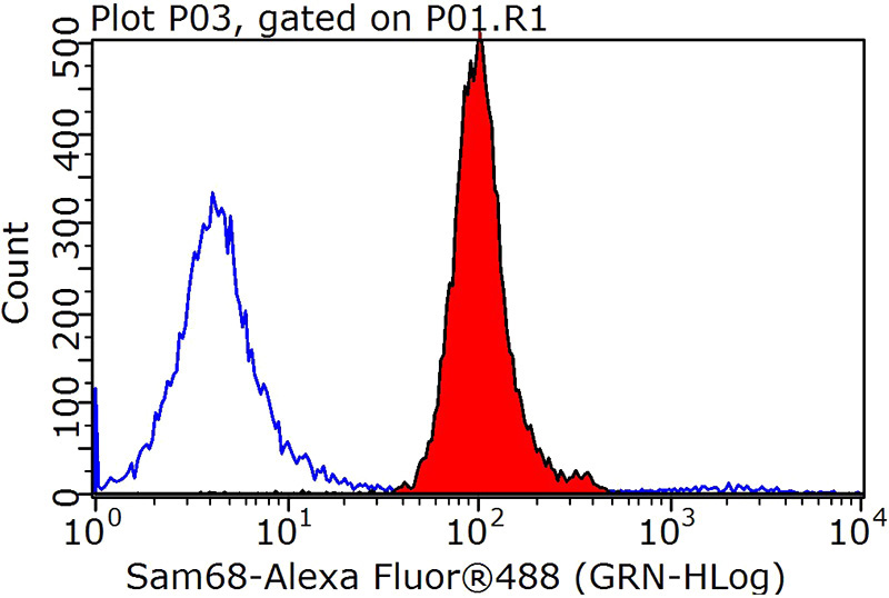 1X10^6 MCF-7 cells were stained with 0.2ug Sam68 antibody (Catalog No:115049, red) and control antibody (blue). Fixed with 90% MeOH blocked with 3% BSA (30 min). Alexa Fluor 488-congugated AffiniPure Goat Anti-Rabbit IgG(H+L) with dilution 1:1000.