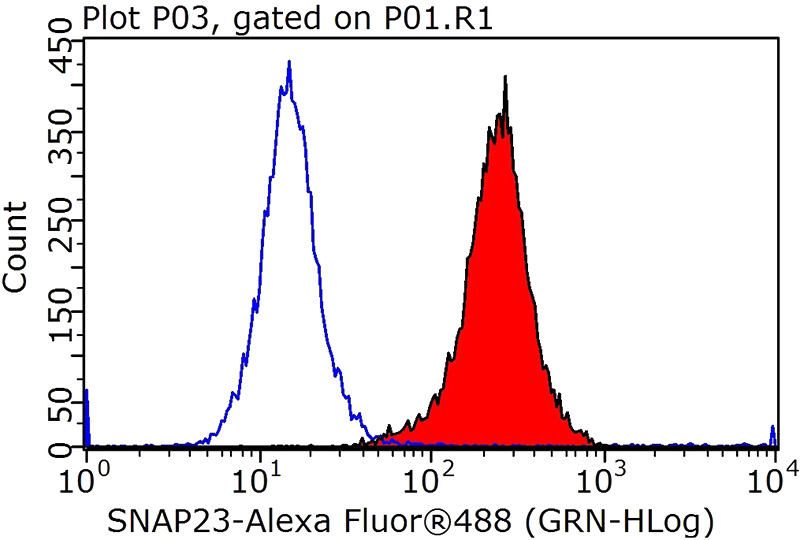 1X10^6 HepG2 cells were stained with 0.2ug SNAP23 antibody (Catalog No:115444, red) and control antibody (blue). Fixed with 90% MeOH blocked with 3% BSA (30 min). Alexa Fluor 488-congugated AffiniPure Goat Anti-Rabbit IgG(H+L) with dilution 1:1000.