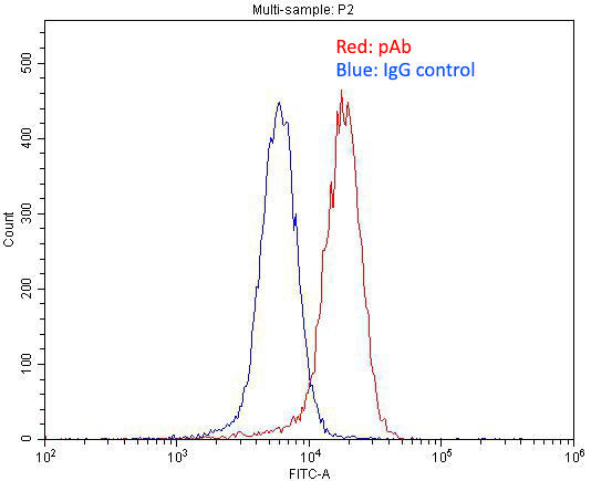1X10^6 SH-SY5Y cells were stained with 0.2ug EPHA4 antibody (Catalog No:110349, red) and control antibody (blue). Fixed with 4% PFA blocked with 3% BSA (30 min). Alexa Fluor 488-congugated AffiniPure Goat Anti-Rabbit IgG(H+L) with dilution 1:1500.