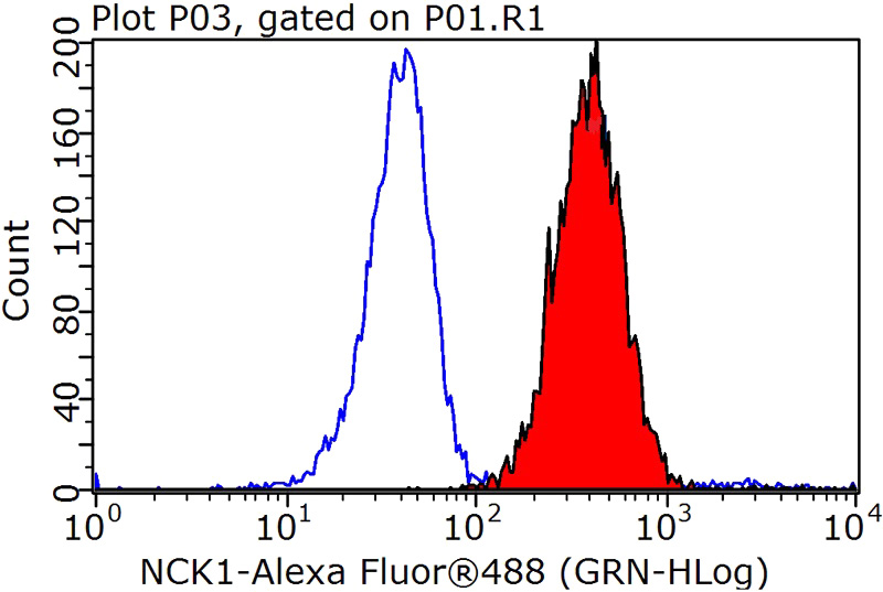 1X10^6 HeLa cells were stained with 0.2ug NCK1 antibody (Catalog No:113036, red) and control antibody (blue). Fixed with 90% MeOH blocked with 3% BSA (30 min). Alexa Fluor 488-congugated AffiniPure Goat Anti-Rabbit IgG(H+L) with dilution 1:1000.