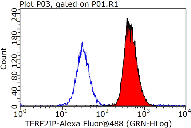 1X10^6 HeLa cells were stained with 0.2ug TERF2IP antibody (Catalog No:115948, red) and control antibody (blue). Fixed with 90% MeOH blocked with 3% BSA (30 min). Alexa Fluor 488-congugated AffiniPure Goat Anti-Rabbit IgG(H+L) with dilution 1:1000.