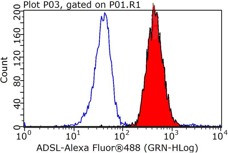 1X10^6 HeLa cells were stained with 0.2ug ADSL antibody (Catalog No:107785, red) and control antibody (blue). Fixed with 90% MeOH blocked with 3% BSA (30 min). Alexa Fluor 488-congugated AffiniPure Goat Anti-Rabbit IgG(H+L) with dilution 1:1000.