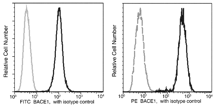 BACE1 / ASP2 Antibody (FITC), Rabbit MAb, Flow cytometric