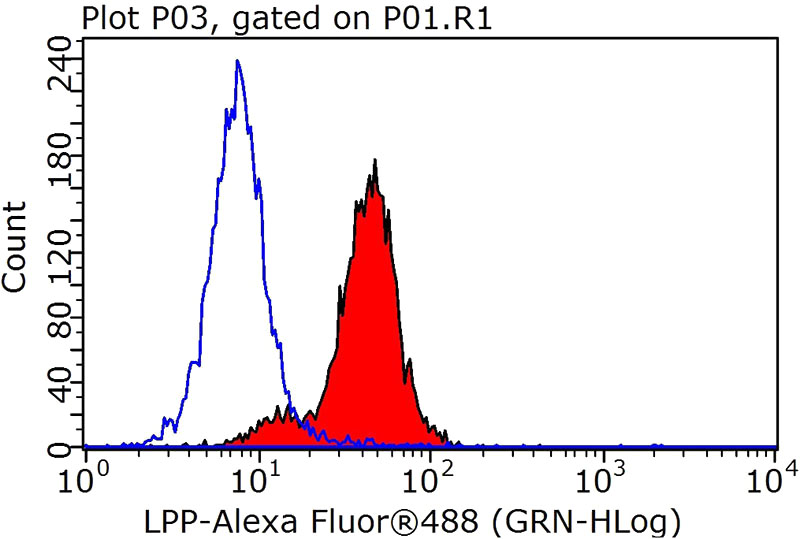 1X10^6 HeLa cells were stained with 0.05ug LPP antibody (Catalog No:112309, red) and control antibody (blue). Fixed with 90% MeOH blocked with 3% BSA (30 min). Alexa Fluor 488-Goat anti-Rabbit IgG with dilution 1:100.