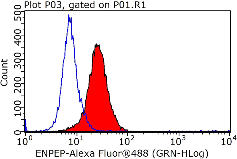 1X10^6 HepG2 cells were stained with 0.2ug ENPEP antibody (Catalog No:110322, red) and control antibody (blue). Fixed with 90% MeOH blocked with 3% BSA (30 min). Alexa Fluor 488-congugated AffiniPure Goat Anti-Rabbit IgG(H+L) with dilution 1:1000.