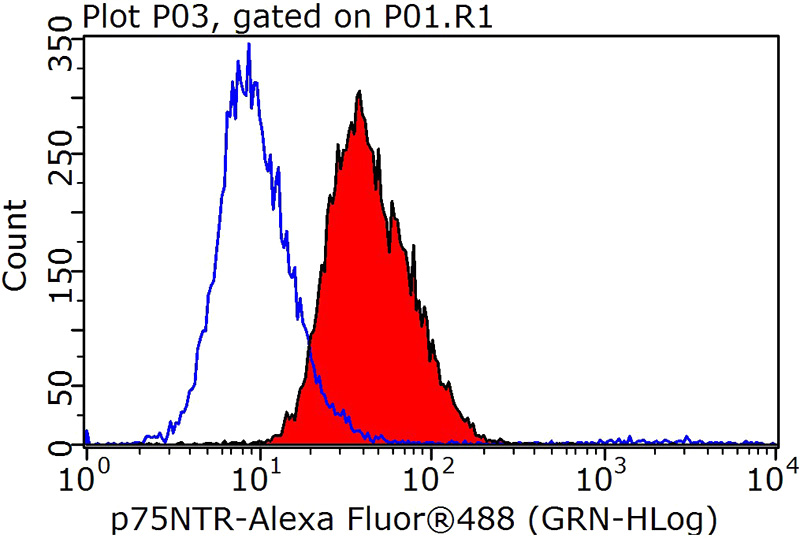 1X10^6 SH-SY5Y cells were stained with 0.2ug NGFR antibody (Catalog No:113561, red) and control antibody (blue). Fixed with 90% MeOH blocked with 3% BSA (30 min). Alexa Fluor 488-congugated AffiniPure Goat Anti-Rabbit IgG(H+L) with dilution 1:1000.