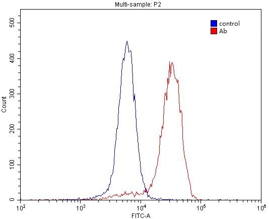1X10^6 SH-SY5Y cells were stained with 0.2ug PGP antibody (Catalog No:113792, red) and control antibody (blue). Fixed with 4% PFA blocked with 3% BSA (30 min). Alexa Fluor 488-congugated AffiniPure Goat Anti-Rabbit IgG(H+L) with dilution 1:1500.