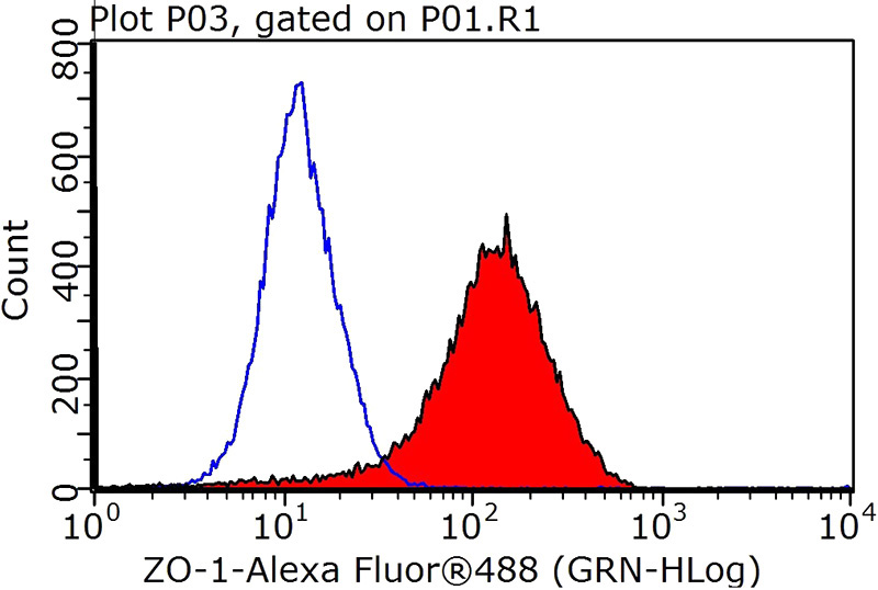 1X10^6 MCF-7 cells were stained with 0.2ug ZO1 antibody (Catalog No:117259, red) and control antibody (blue). Fixed with 90% MeOH blocked with 3% BSA (30 min). Alexa Fluor 488-congugated AffiniPure Goat Anti-Rabbit IgG(H+L) with dilution 1:1000.