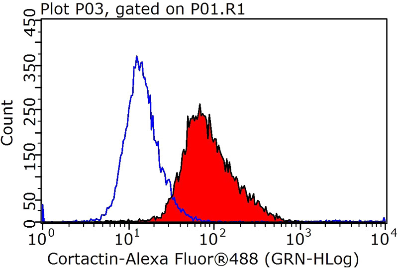 1X10^6 HeLa cells were stained with 0.2ug Cortactin antibody (Catalog No:109478, red) and control antibody (blue). Fixed with 90% MeOH blocked with 3% BSA (30 min). Alexa Fluor 488-congugated AffiniPure Goat Anti-Rabbit IgG(H+L) with dilution 1:1000.