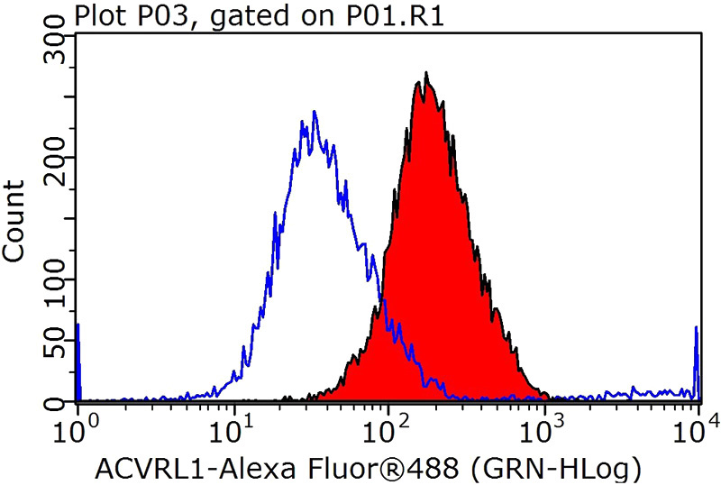 1X10^6 Jurkat cells were stained with 0.2ug ACVRL1 antibody (Catalog No:107755, red) and control antibody (blue). Fixed with 90% MeOH blocked with 3% BSA (30 min). Alexa Fluor 488-congugated AffiniPure Goat Anti-Rabbit IgG(H+L) with dilution 1:1000.