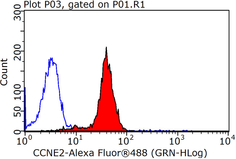 1X10^6 HeLa cells were stained with 0.2ug CCNE2 antibody (Catalog No:109666, red) and control antibody (blue). Fixed with 90% MeOH blocked with 3% BSA (30 min). Alexa Fluor 488-congugated AffiniPure Goat Anti-Rabbit IgG(H+L) with dilution 1:1500.
