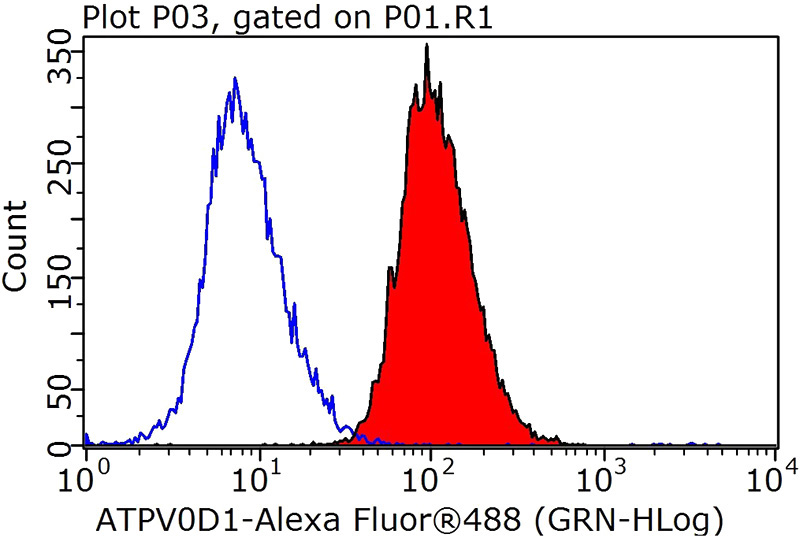 1X10^6 HeLa cells were stained with 0.2ug ATP6V0D1 antibody (Catalog No:108303, red) and control antibody (blue). Fixed with 90% MeOH blocked with 3% BSA (30 min). Alexa Fluor 488-congugated AffiniPure Goat Anti-Rabbit IgG(H+L) with dilution 1:1000.