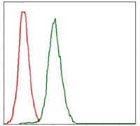 Flow cytometric analysis of Jurkat cells using RPA1 mouse mAb (green) and negative control (red).