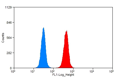 1X10^6 HeLa cells were stained with 0.2ug AIP antibody (Catalog No:107856, red) and control antibody (blue). Fixed with 90% MeOH blocked with 3% BSA (30 min). Alexa Fluor 488-congugated AffiniPure Goat Anti-Rabbit IgG(H+L) with dilution 1:1500.