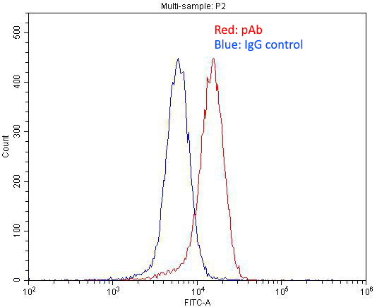 1X10^6 SH-SY5Y cells were stained with 0.2ug EPHA8 antibody (Catalog No:110382, red) and control antibody (blue). Fixed with 4% PFA blocked with 3% BSA (30 min). Alexa Fluor 488-congugated AffiniPure Goat Anti-Rabbit IgG(H+L) with dilution 1:1500.