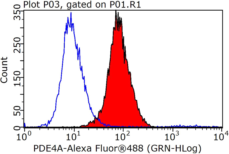 1X10^6 SH-SY5Y cells were stained with 0.2ug PDE4A antibody (Catalog No:113661, red) and control antibody (blue). Fixed with 90% MeOH blocked with 3% BSA (30 min). Alexa Fluor 488-congugated AffiniPure Goat Anti-Rabbit IgG(H+L) with dilution 1:1000.