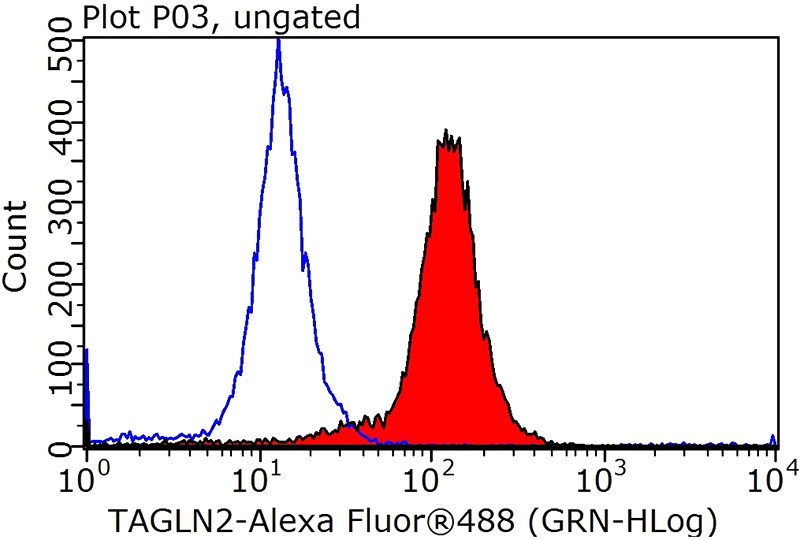 1X10^6 HepG2 cells were stained with 0.2ug Transgelin-2-specific antibody (Catalog No:116335, red) and control antibody (blue). Fixed with 90% MeOH blocked with 3% BSA (30 min). Alexa Fluor 488-congugated AffiniPure Goat Anti-Rabbit IgG(H+L) with dilution 1:1000.