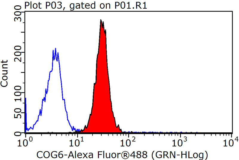 1X10^6 MCF-7 cells were stained with 0.2ug COG6 antibody (Catalog No:109369, red) and control antibody (blue). Fixed with 90% MeOH blocked with 3% BSA (30 min). Alexa Fluor 488-congugated AffiniPure Goat Anti-Rabbit IgG(H+L) with dilution 1:1500.