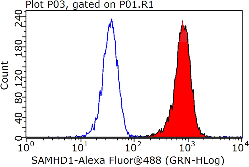 1X10^6 K-562 cells were stained with 0.2ug SAMHD1 antibody (Catalog No:115056, red) and control antibody (blue). Fixed with 90% MeOH blocked with 3% BSA (30 min). Alexa Fluor 488-congugated AffiniPure Goat Anti-Rabbit IgG(H+L) with dilution 1:1000.