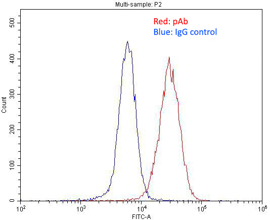 1X10^6 SH-SY5Y cells were stained with 0.2ug CHRNB4 antibody (Catalog No:109286, red) and control antibody (blue). Fixed with 4% PFA blocked with 3% BSA (30 min). Alexa Fluor 488-congugated AffiniPure Goat Anti-Rabbit IgG(H+L) with dilution 1:1500.