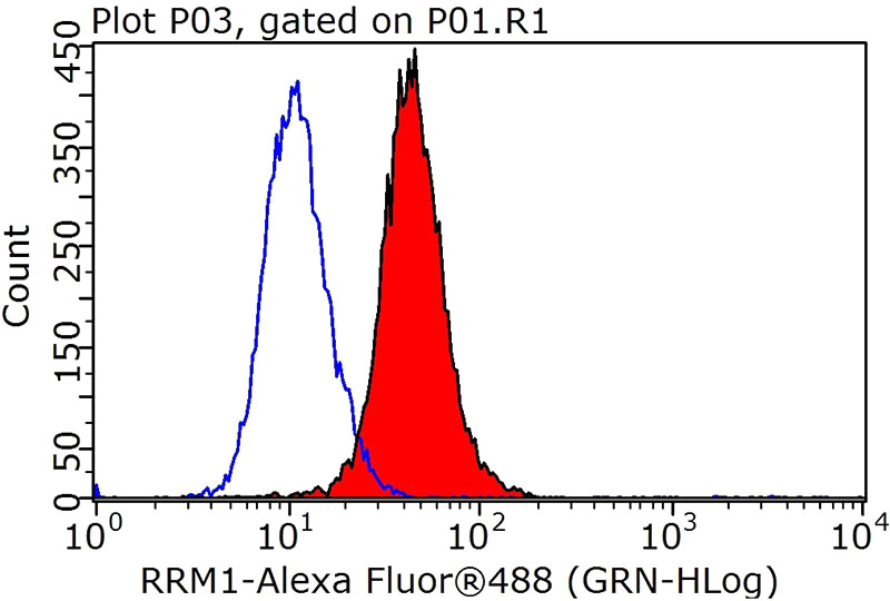 1X10^6 HeLa cells were stained with .2ug RRM1 antibody (Catalog No:114923, red) and control antibody (blue). Fixed with 4% PFA blocked with 3% BSA (30 min). Alexa Fluor 488-congugated AffiniPure Goat Anti-Rabbit IgG(H+L) with dilution 1:1000.