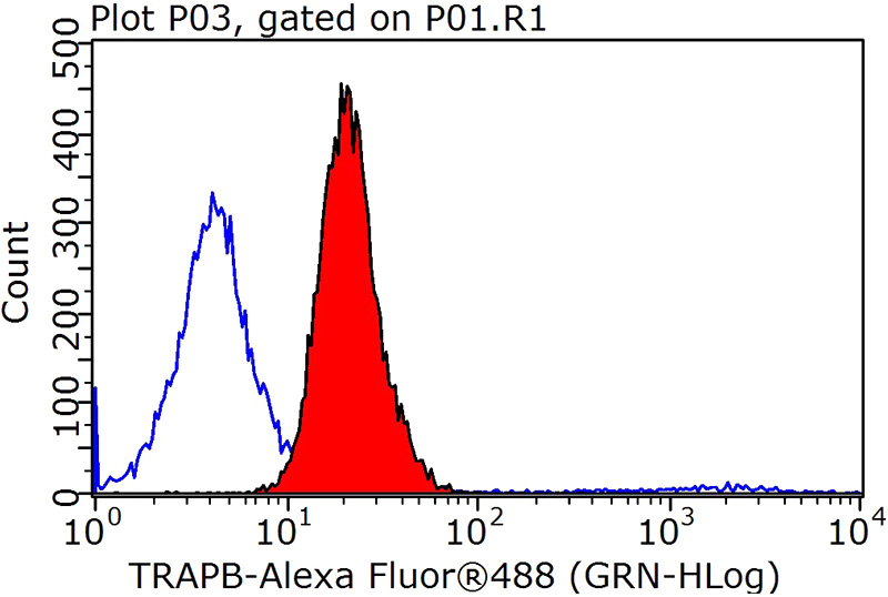 1X10^6 MCF-7 cells were stained with 0.2ug TRAPB, SSR2 antibody (Catalog No:116340, red) and control antibody (blue). Fixed with 90% MeOH blocked with 3% BSA (30 min). Alexa Fluor 488-congugated AffiniPure Goat Anti-Rabbit IgG(H+L) with dilution 1:1000.