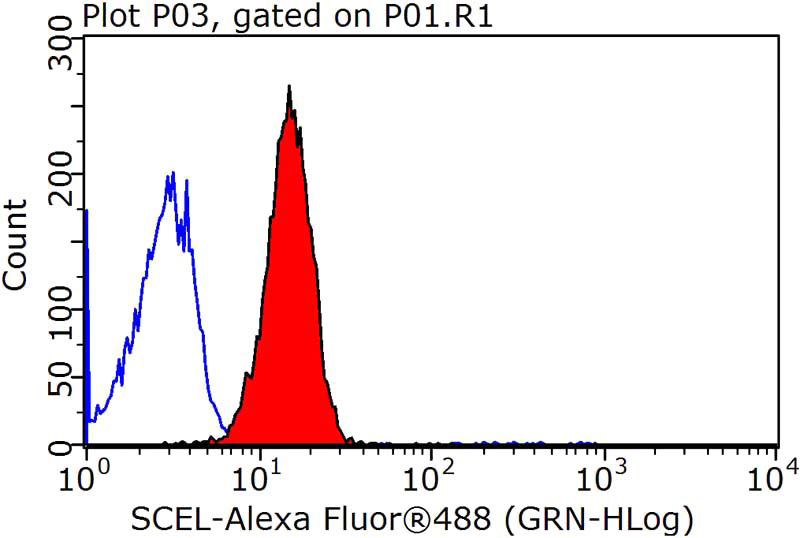 1X10^6 HeLa cells were stained with 0.2ug SCEL antibody (Catalog No:114990, red) and control antibody (blue). Fixed with 90% MeOH blocked with 3% BSA (30 min). Alexa Fluor 488-congugated AffiniPure Goat Anti-Rabbit IgG(H+L) with dilution 1:1500.