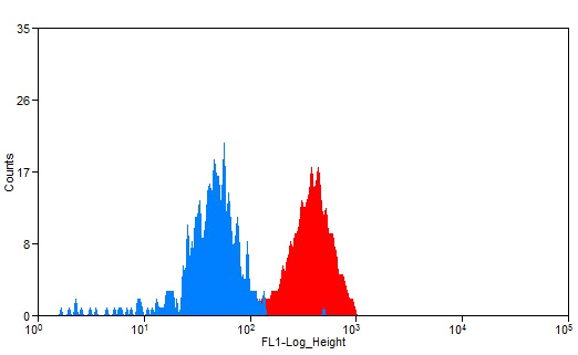 1X10^6 K-562 cells were stained with 0.2ug GYPA antibody (Catalog No:111085, red) and control antibody (blue). Fixed with 90% MeOH blocked with 3% BSA (30 min). Alexa Fluor 488-congugated AffiniPure Goat Anti-Rabbit IgG(H+L) with dilution 1:1500.