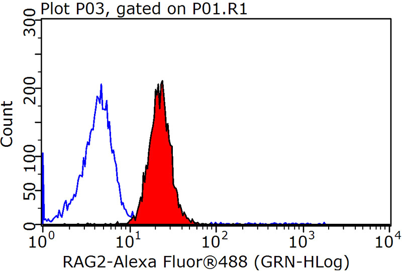 1X10^6 HeLa cells were stained with 0.2ug RAG2 antibody (Catalog No:114525, red) and control antibody (blue). Fixed with 90% MeOH blocked with 3% BSA (30 min). Alexa Fluor 488-congugated AffiniPure Goat Anti-Rabbit IgG(H+L) with dilution 1:1000.
