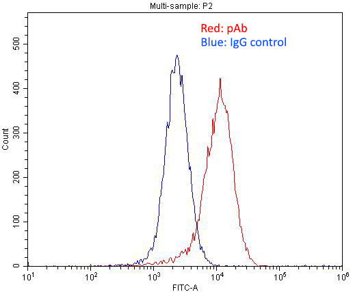 1X10^6 MCF-7 cells were stained with 0.2ug SRA1 antibody (Catalog No:115662, red) and control antibody (blue). Fixed with 4% PFA blocked with 3% BSA (30 min). Alexa Fluor 488-congugated AffiniPure Goat Anti-Rabbit IgG(H+L) with dilution 1:1500.