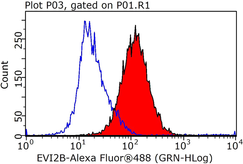 1X10^6 Jurkat cells were stained with 0.5ug EVI2B antibody (Catalog No:110494, red) and control antibody (blue). Fixed with 90% MeOH blocked with 3% BSA (30 min). Alexa Fluor 488-congugated AffiniPure Goat Anti-Rabbit IgG(H+L) with dilution 1:1000.