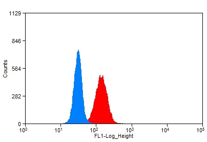 1X10^6 HeLa cells were stained with 0.2ug KRT8 antibody (Catalog No:109814, red) and control antibody (blue). Fixed with 90% MeOH blocked with 3% BSA (30 min). Alexa Fluor 488-congugated AffiniPure Goat Anti-Rabbit IgG(H+L) with dilution 1:1500.
