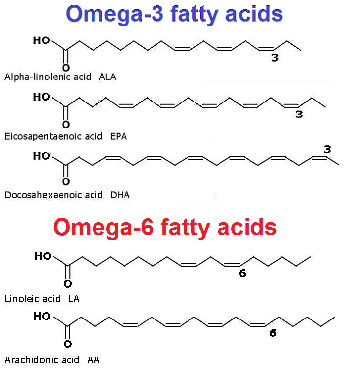 omega-3-and-omega-6-fatty-acids.png