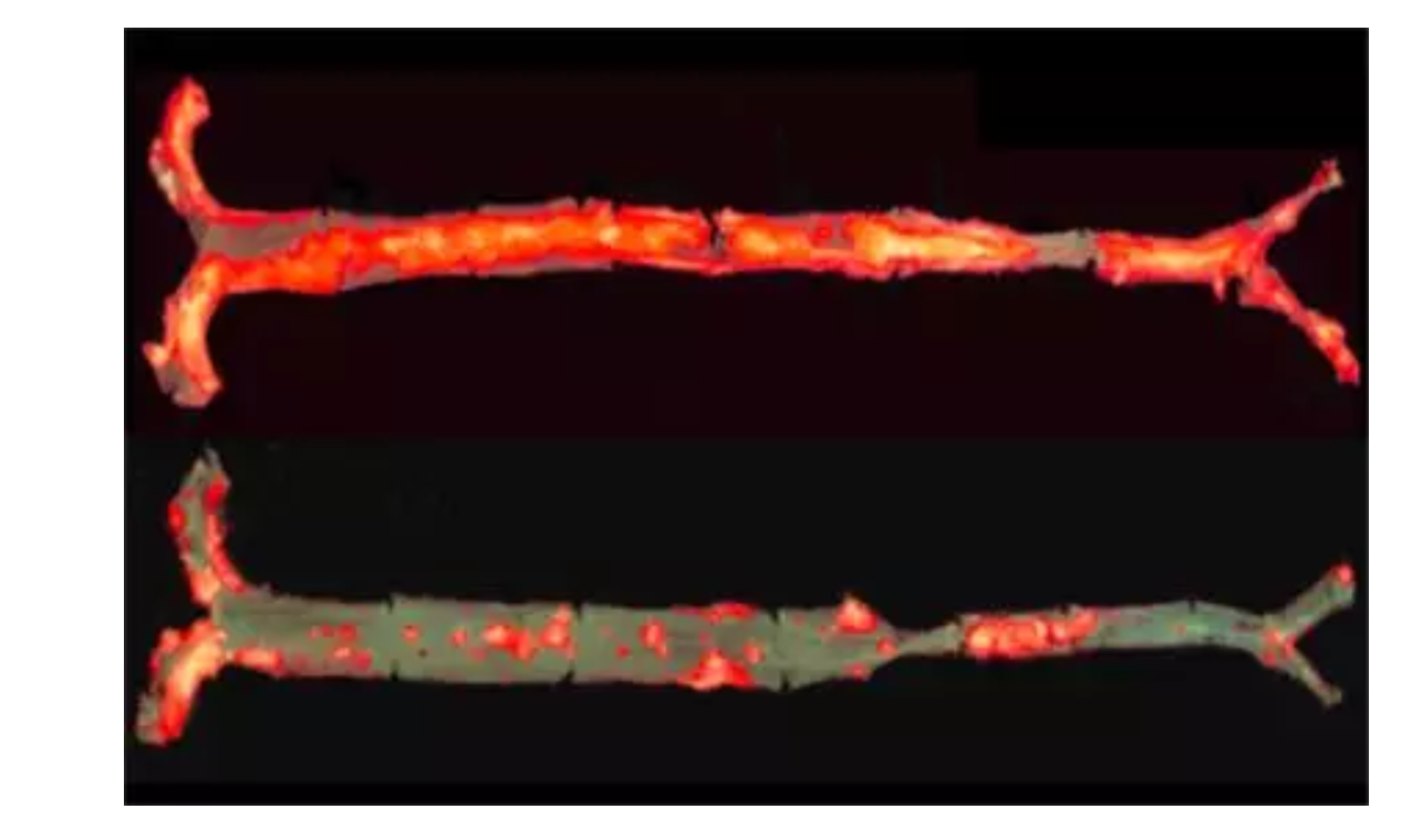 2018061115287157995925.png p3.png