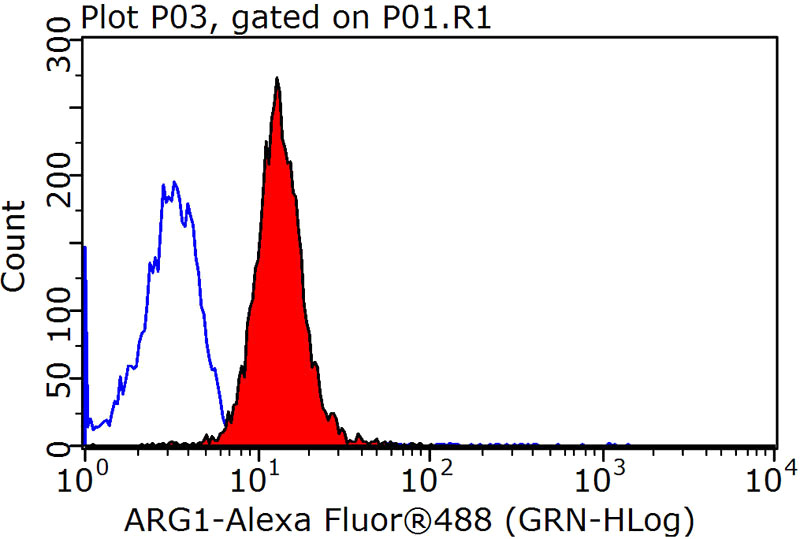 1X10^6 HepG2 cells were stained with 0.2ug ARG1 antibody (Catalog No:112248, red) and control antibody (blue). Fixed with 90% MeOH blocked with 3% BSA (30 min). Alexa Fluor 488-congugated AffiniPure Goat Anti-Rabbit IgG(H+L) with dilution 1:1500.