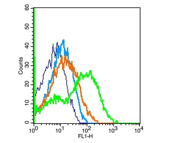 Fig1: Positive control: mouse thymocyte(2% Paraformaldehyde-fixed ); Isotype Control Antibody: Rabbit IgG; Dilution: 1μg in 100 μl 1 X PBS containing 0.5% BSA; Secondary Antibody: Goat anti-rabbit IgG-FITC; Dilution: 1:200 in 1 X PBS containing 0.5% BSA; Primary Antibody: Rabbit Anti-CD1A antibody ; Dilution: 1μg in 100 μl 1X PBS containing 0.5% BSA
